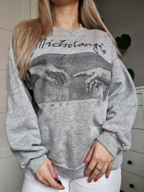 Grey sweatshirt with a picture