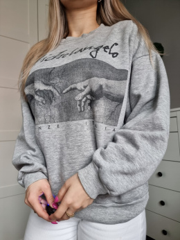 Grey sweatshirt with a picture